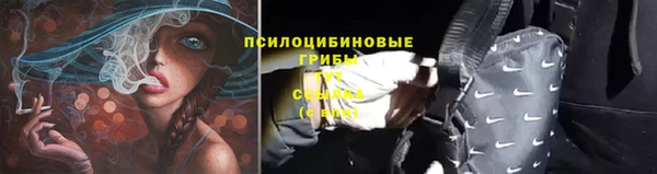 спайс Кулебаки
