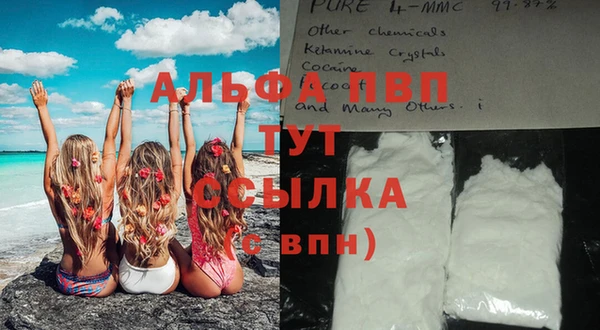 спайс Кулебаки