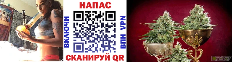 Купить где  Сланцы  Канабис Ganja 
